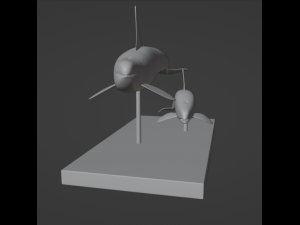 Orca Modèles 3D en vedette