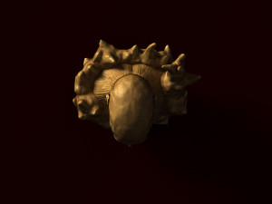 colossal titan 3Dモデル