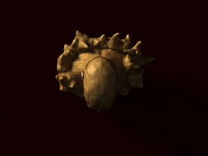 colossal titan 3D Model