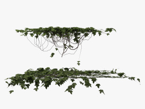 ivy 3D 모델