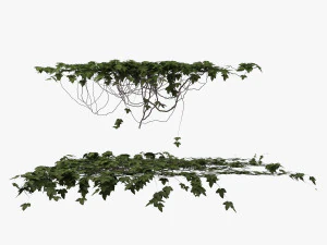 плющ 3D Модель