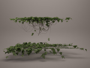 ivy 3Dモデル