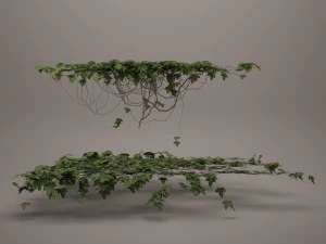 плющ 3D Модель