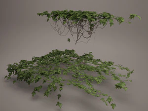 плющ 3D Модель