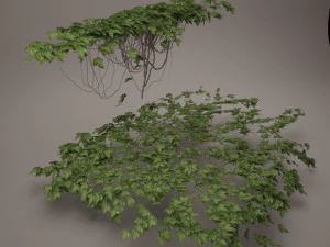 плющ 3D Модель