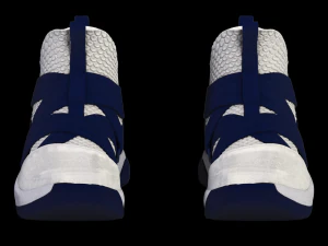 nike lebron soldier xii sfg blue 3D Model