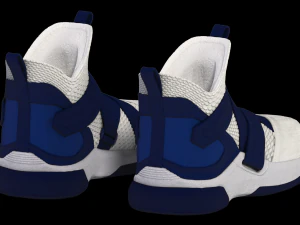 nike lebron soldier xii sfg blue 3D Model