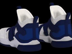 nike lebron soldier xii sfg blue 3Dモデル