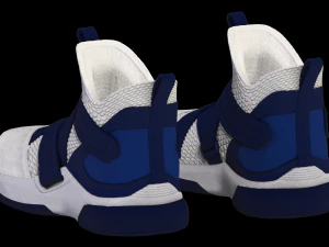 nike lebron soldier xii sfg blue 3D Model