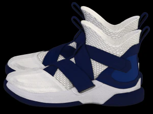 nike lebron soldier xii sfg blue 3D Model
