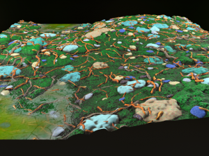 procedural ground CG Textures