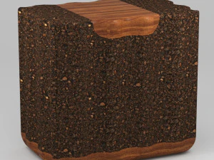 볼로타 가리비 3D 모델