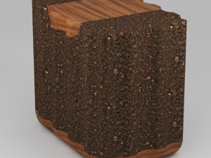 bolota scallop 3D Model