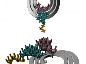 3D121 3D Print Model