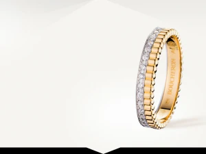 3D141 Modelo de Impressão 3D