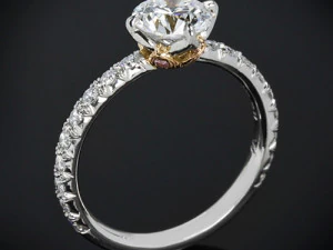 3D205 Model do druku 3D