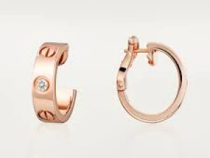 3D243 3D Print Model