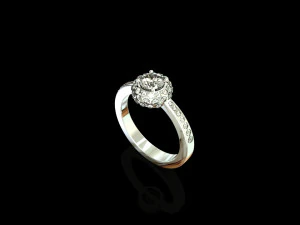 3D298 3D Druckmodell