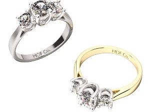 3डी301 3D प्रिंट मॉडल