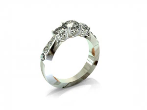 3D301 3D Baskı Modeli