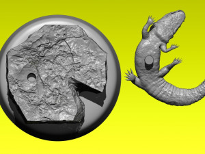 STATUE FLORIDA GATORS FOOTBALL - NCCA - SEC Modèles 3D en vedette