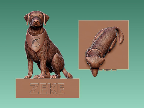 Zeke the Wonder Dog - Michigan State University Spartan football 3D Baskı Modeli