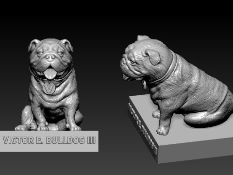 NCAA - Fresno State Bulldogs MASCOT STATUE - 3D PRINT Modelo de Impressão 3D