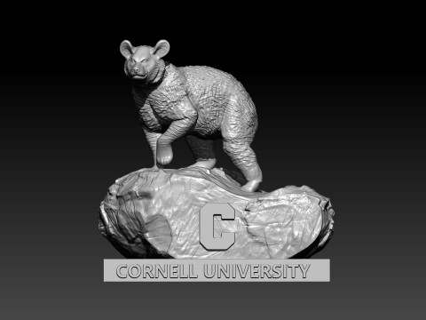 NCAA - Cornell Big Red - Cornell University - 3d print 3Dプリントモデル