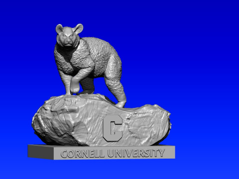 NCAA - Cornell Big Red - Cornell University - 3d print 3Dプリントモデル