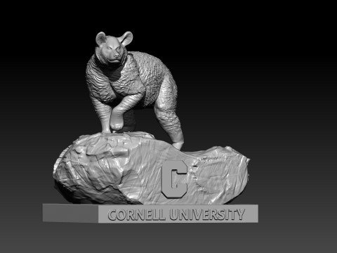 NCAA - Cornell Big Red - Cornell University - 3d print 3Dプリントモデル