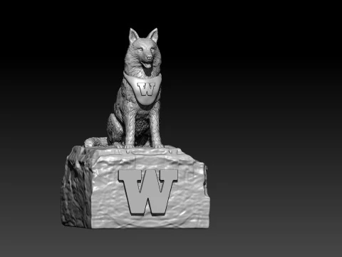 NCAA - Washington huskies mascot statue - 3d Print 3D Print Model