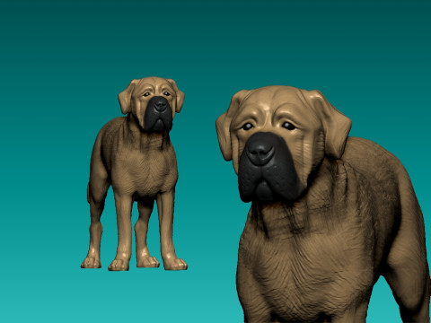 English Bullmastiff Dog Model - Pet - 3D print 3D Print Model