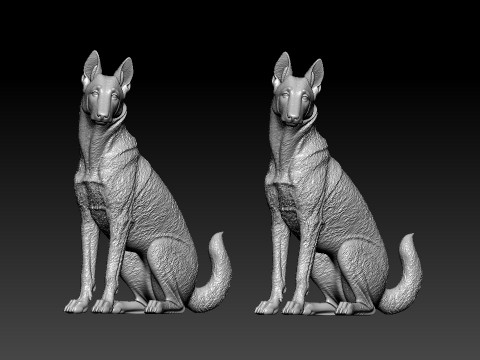 Malinois Sheepdog - Belgian Shepherd model - 3D print 3D Baskı Modeli