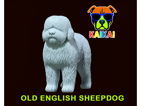Old English Sheepdog - Bobtail dog - 3D print 3D Принт Модель