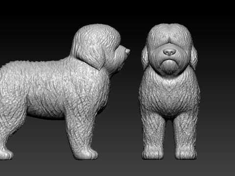 Old English Sheepdog - Bobtail dog - 3D print 3D Baskı Modeli