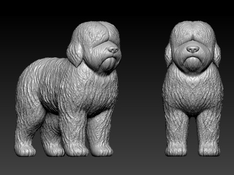 Old English Sheepdog - Bobtail dog - 3D print 3D Baskı Modeli