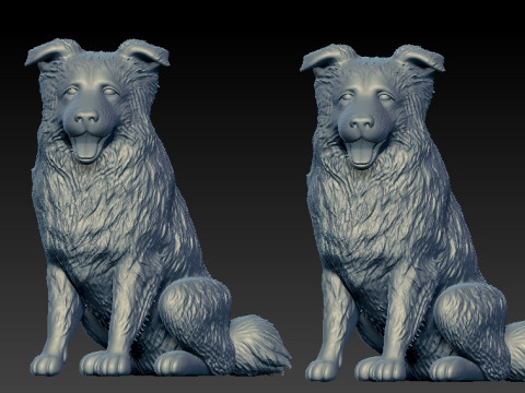 Dogs - Border Collie model - 3D print 3D Принт Модель