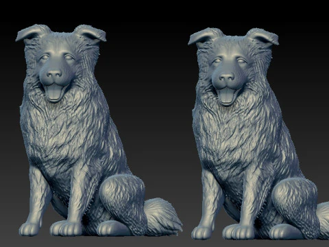 Dogs - Border Collie model - 3D print 3D Print Model