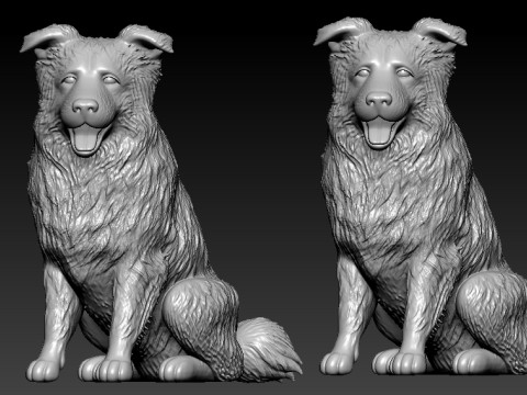 Dogs - Border Collie model - 3D print 3D Принт Модель