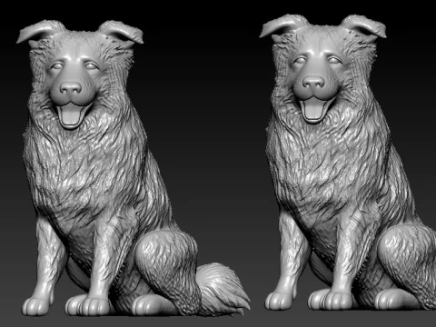 Dogs - Border Collie model - 3D print 3D Print Model