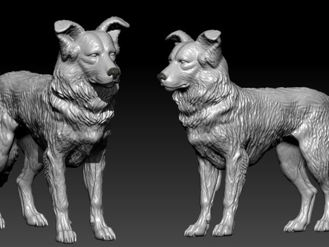 The Australian Shepherd - Australian Berger model - 3D print 3Dプリントモデル