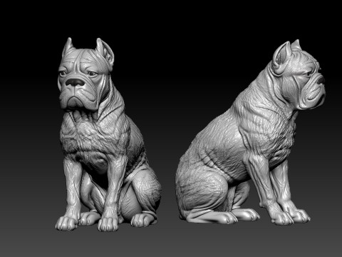 Cane Corso - English Mastiff model - 3D print Modelo de impresión 3D