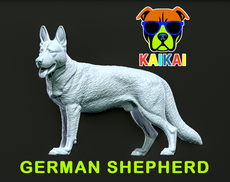 German Shepherd - Alsatian model - 3D print 3D Принт Модель .c4d .max .obj .3ds .fbx .stl .blend