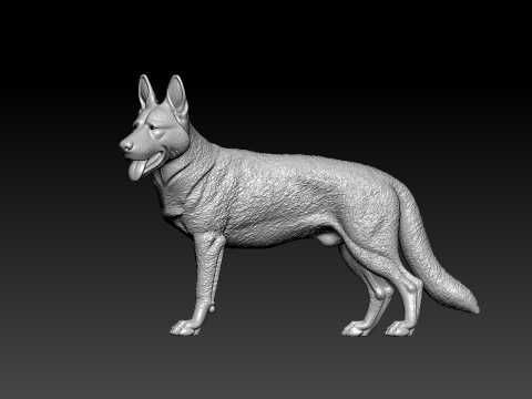 German Shepherd - Alsatian model - 3D print 3D Принт Модель