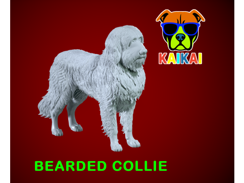 Bearded Collie - Mountain Collie model - 3D print 3D Принт Модель