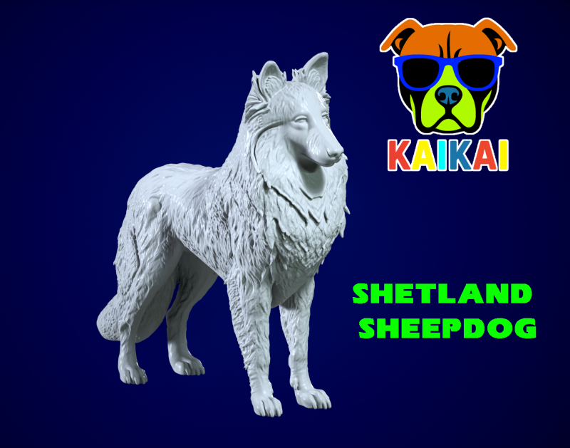 Shetland Sheepdog - Dwarf Scotch Shepherd model - 3D print Modelo de impresión 3D .c4d .max .obj .3ds .fbx .stl .blend