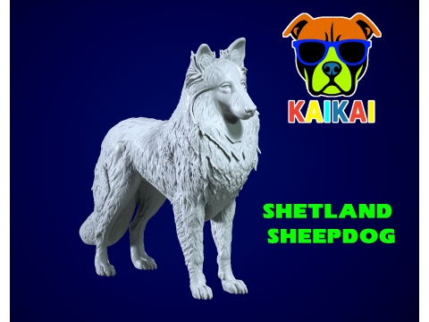 Shetland Sheepdog - Dwarf Scotch Shepherd model - 3D print 3D Baskı Modeli