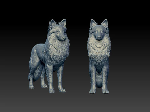 Shetland Sheepdog - Dwarf Scotch Shepherd model - 3D print 3D Print Model