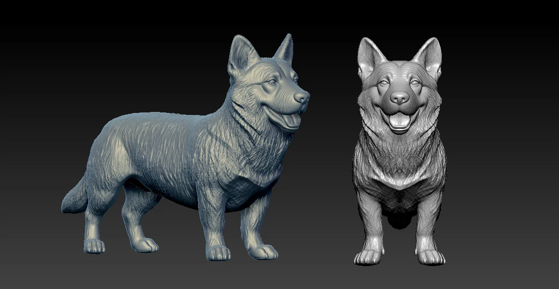 Swedish Vallhund - Swedish Shepherd model - 3D print 3D Print Model .c4d .max .obj .3ds .fbx .stl .blend 