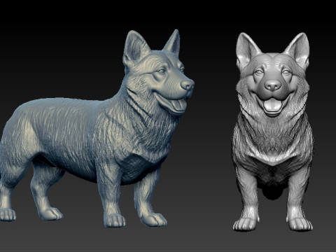 Swedish Vallhund - Swedish Shepherd model - 3D print 3D 打印模型